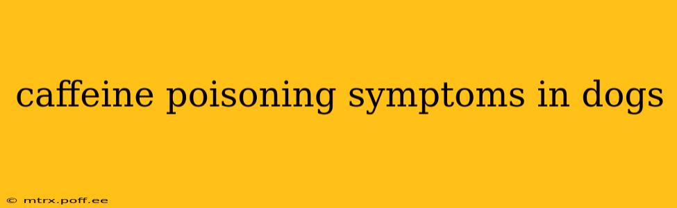 caffeine poisoning symptoms in dogs