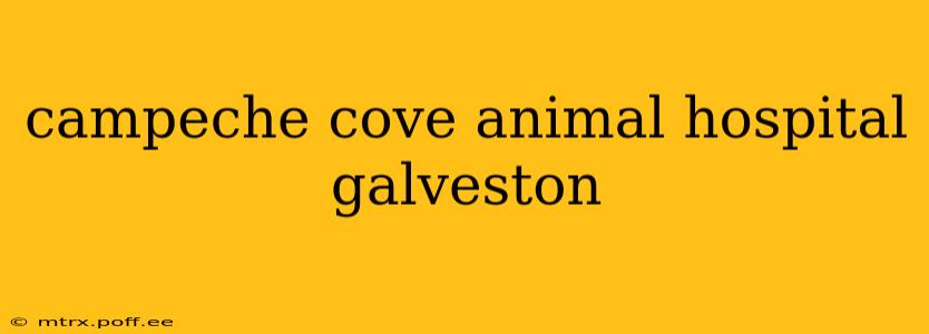 campeche cove animal hospital galveston