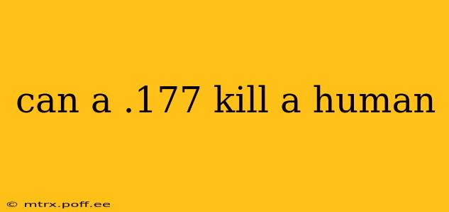 can a .177 kill a human