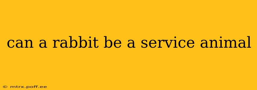can a rabbit be a service animal