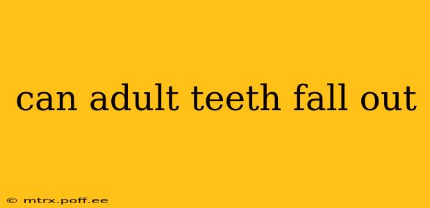 can adult teeth fall out