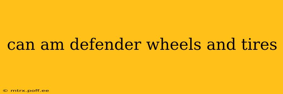 can am defender wheels and tires