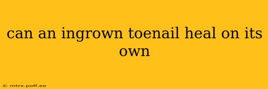 can an ingrown toenail heal on its own