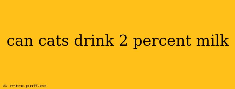 can cats drink 2 percent milk
