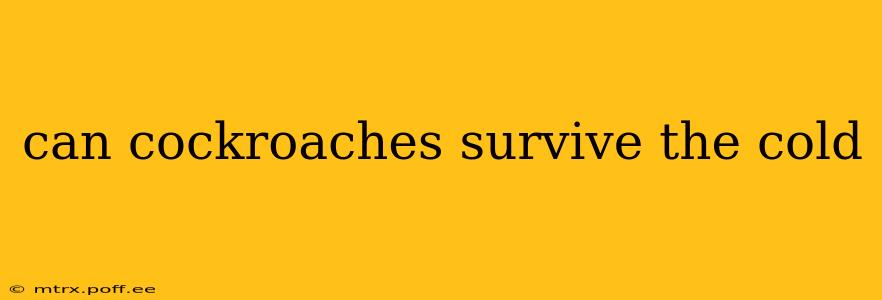 can cockroaches survive the cold