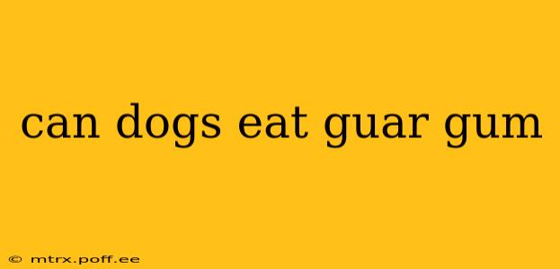 can dogs eat guar gum