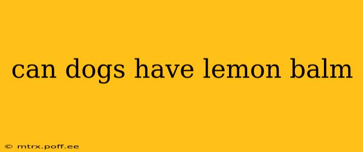 can dogs have lemon balm