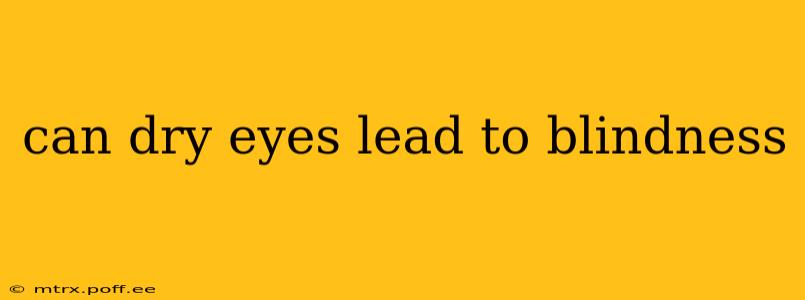 can dry eyes lead to blindness