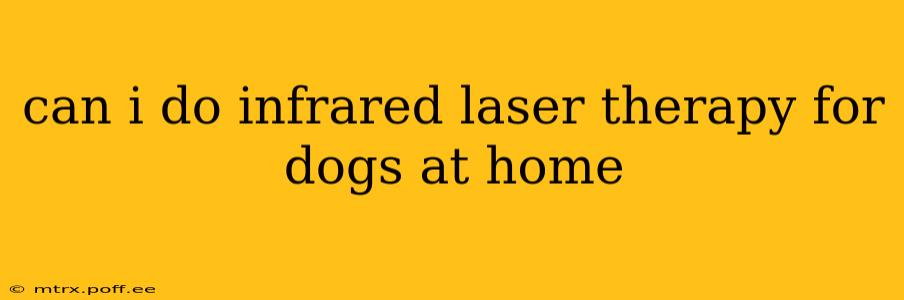can i do infrared laser therapy for dogs at home
