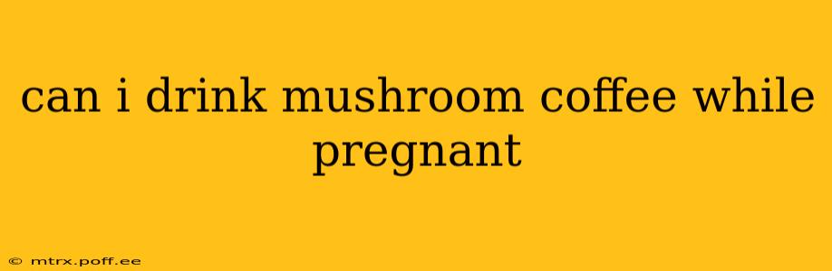 can i drink mushroom coffee while pregnant