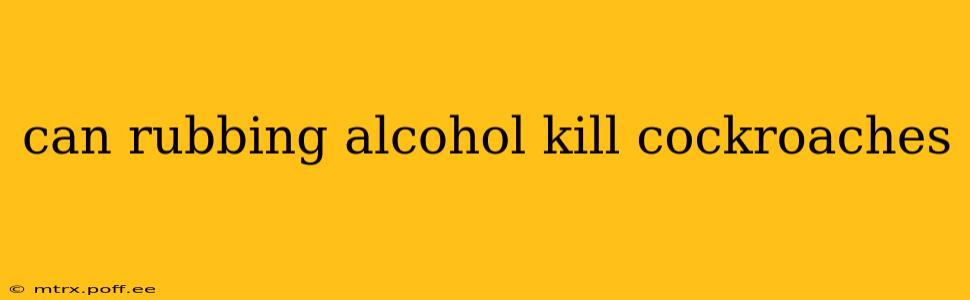 can rubbing alcohol kill cockroaches
