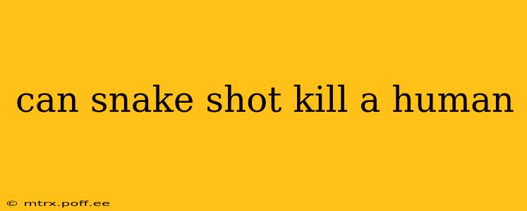 can snake shot kill a human