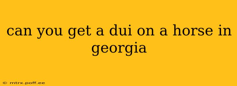 can you get a dui on a horse in georgia