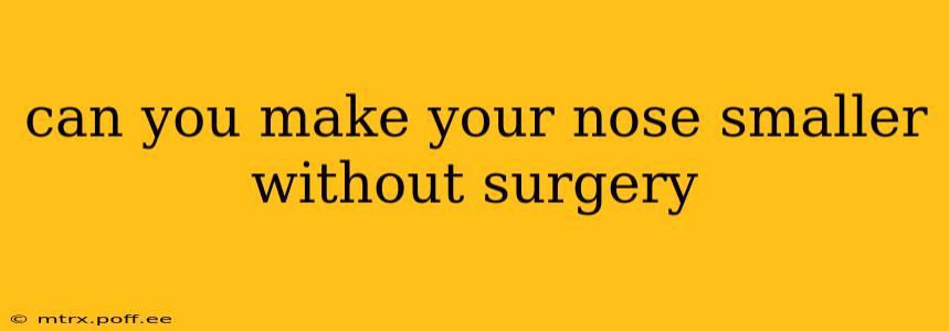 can you make your nose smaller without surgery