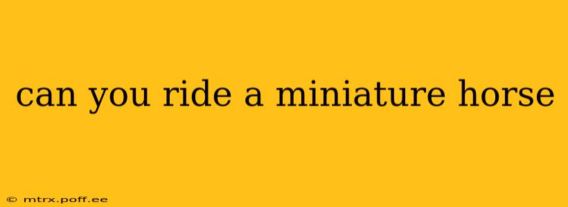 can you ride a miniature horse