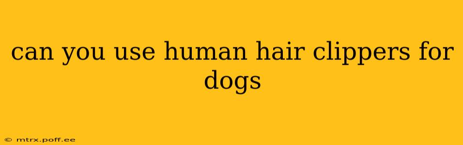 can you use human hair clippers for dogs