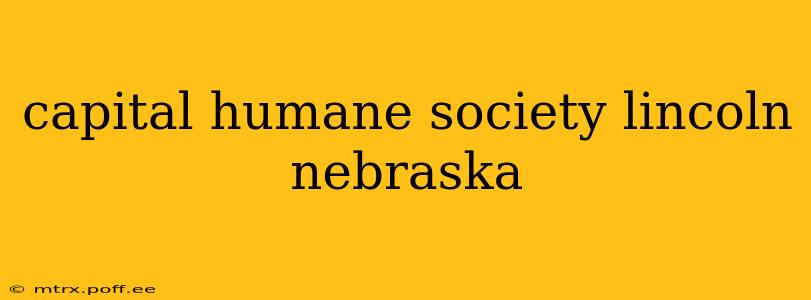 capital humane society lincoln nebraska