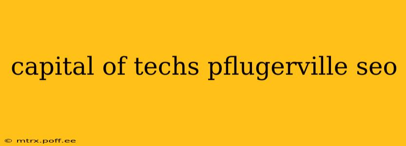 capital of techs pflugerville seo