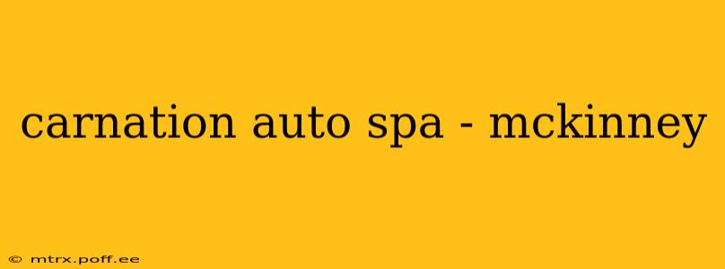 carnation auto spa - mckinney