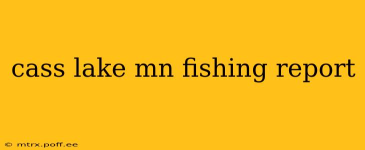 cass lake mn fishing report
