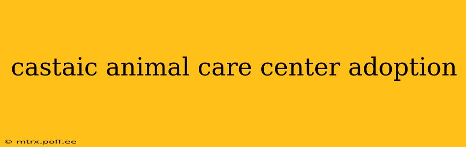 castaic animal care center adoption