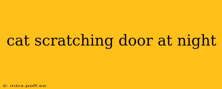 cat scratching door at night