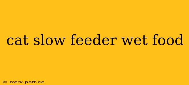 cat slow feeder wet food