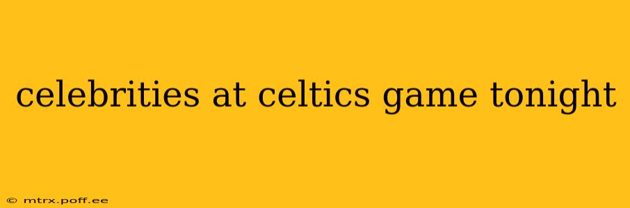 celebrities at celtics game tonight