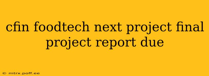 cfin foodtech next project final project report due