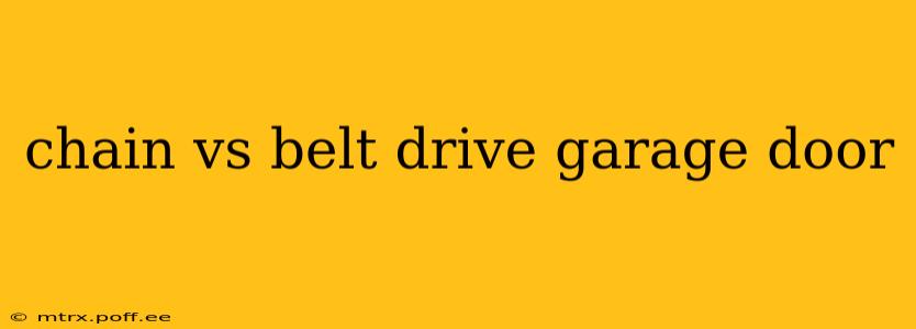 chain vs belt drive garage door