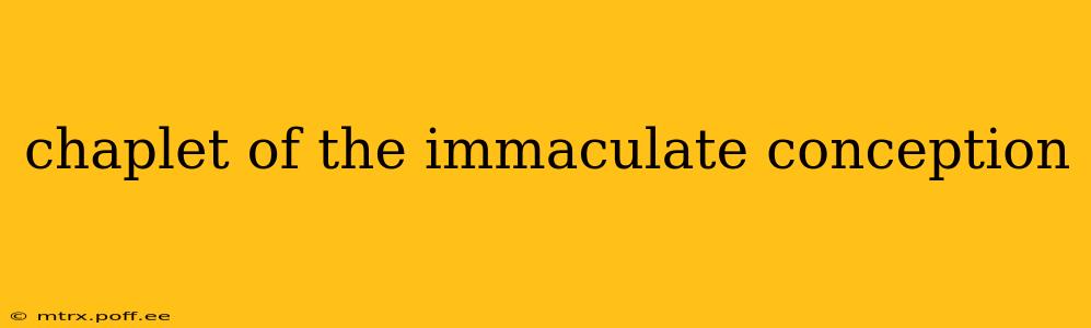 chaplet of the immaculate conception