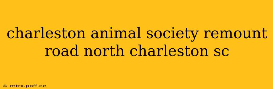 charleston animal society remount road north charleston sc