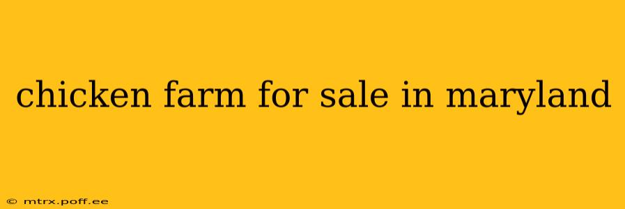 chicken farm for sale in maryland