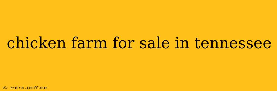 chicken farm for sale in tennessee