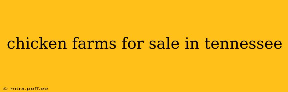 chicken farms for sale in tennessee