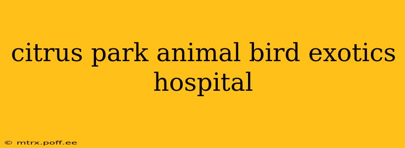 citrus park animal bird exotics hospital