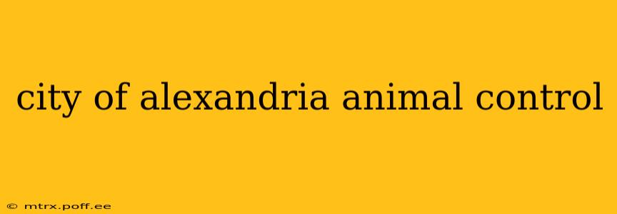 city of alexandria animal control