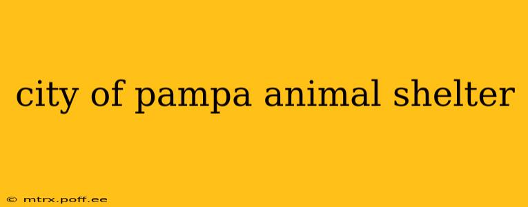 city of pampa animal shelter
