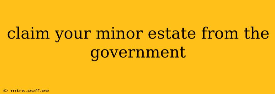 claim your minor estate from the government