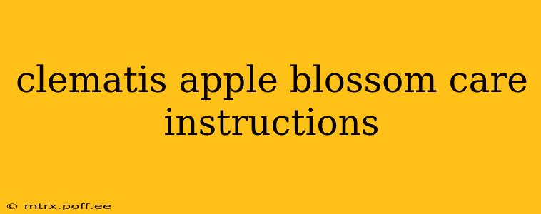 clematis apple blossom care instructions