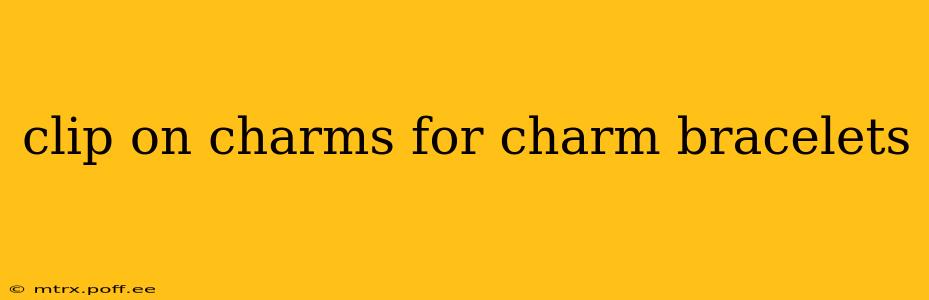 clip on charms for charm bracelets
