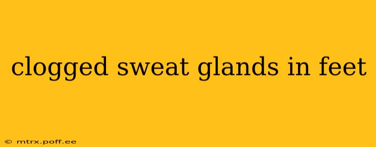 clogged sweat glands in feet