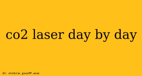 co2 laser day by day