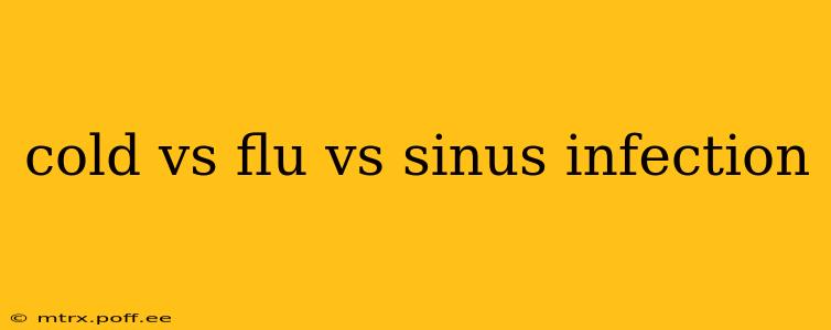 cold vs flu vs sinus infection