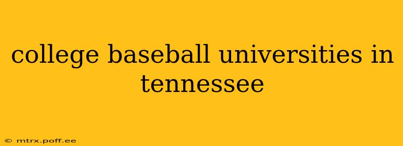 college baseball universities in tennessee