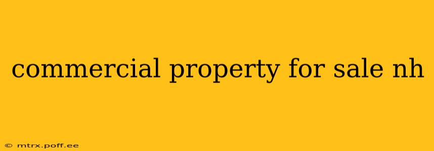 commercial property for sale nh