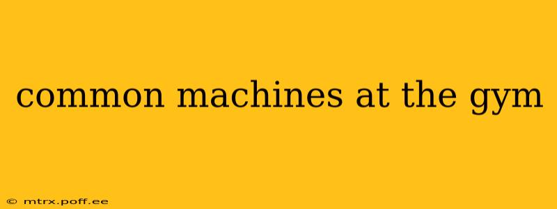 common machines at the gym