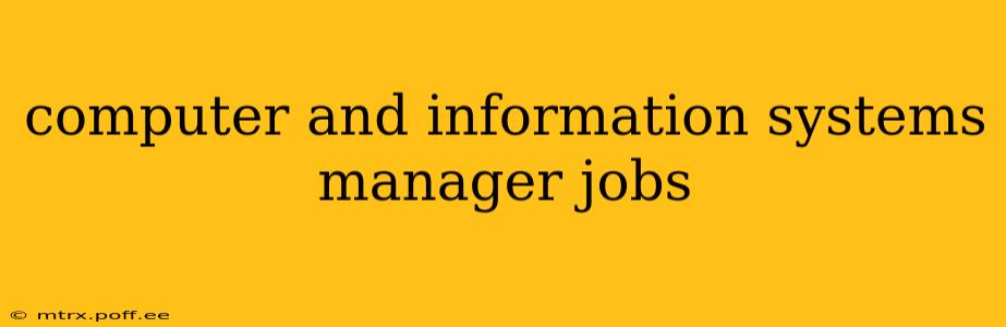 computer and information systems manager jobs