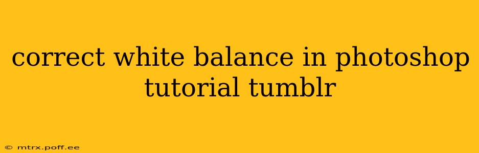 correct white balance in photoshop tutorial tumblr