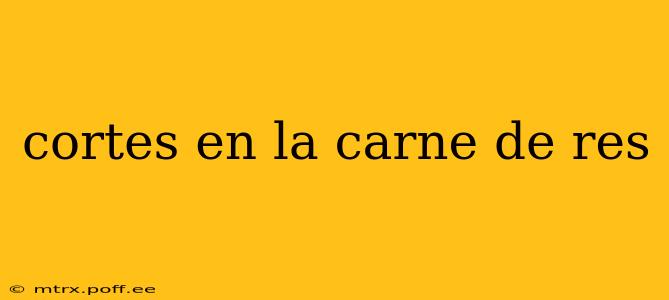 cortes en la carne de res